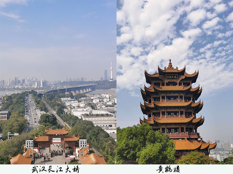 武漢之行